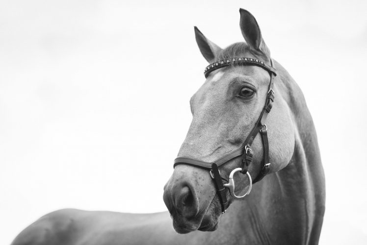 kirsten-lachance-KPwC1b5AUDA-unsplash